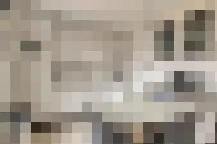 Strand 3 Zoutelande thumbnail 5