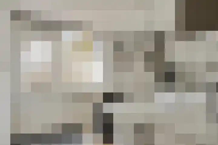 Strand 3 Zoutelande thumbnail 6