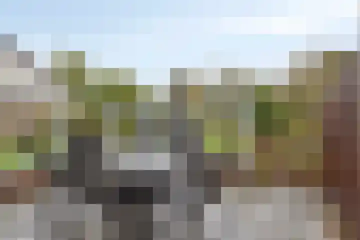 Strand 3 Zoutelande thumbnail 9