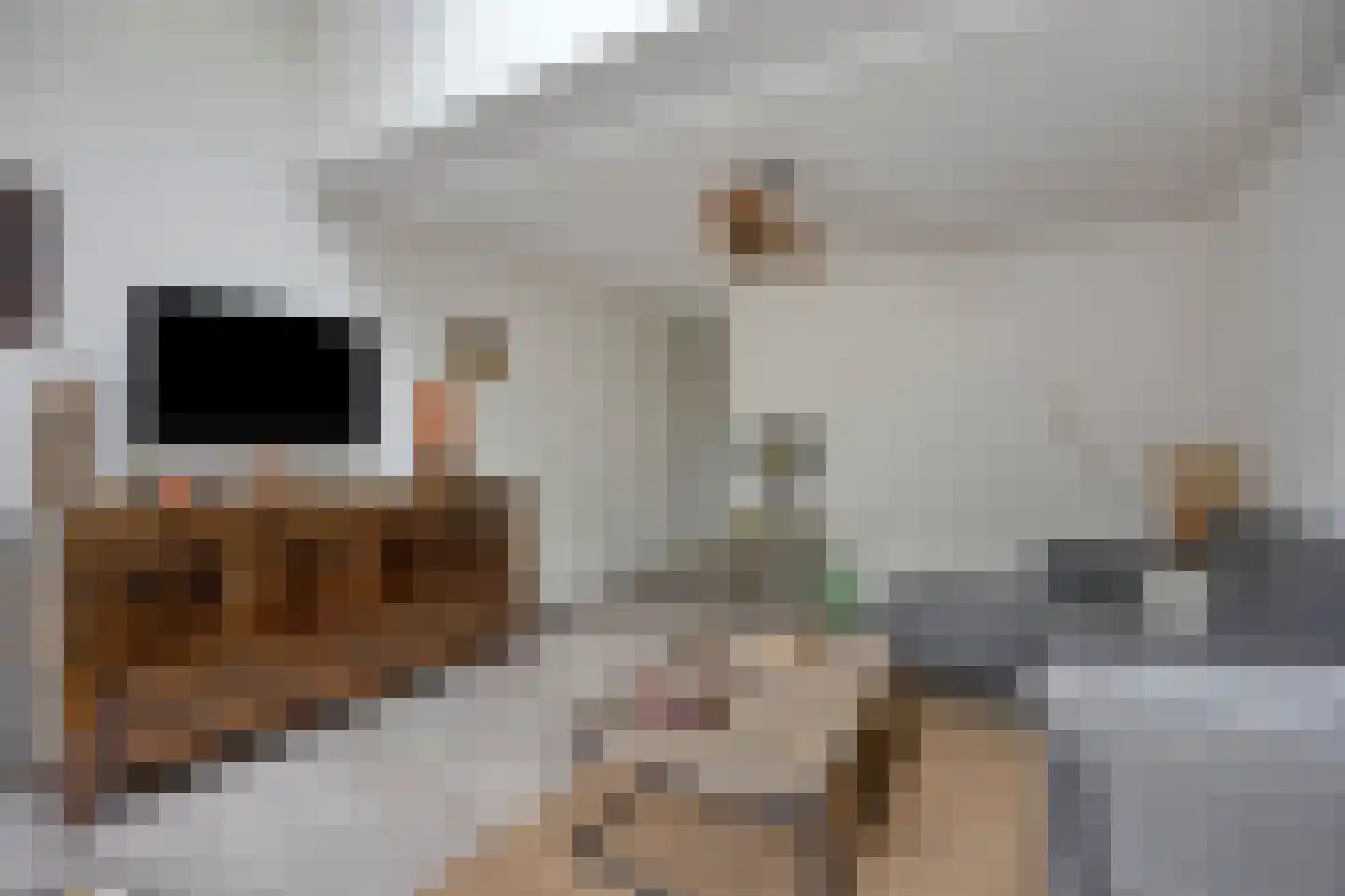 Strand 34 Zoutelande thumbnail 10