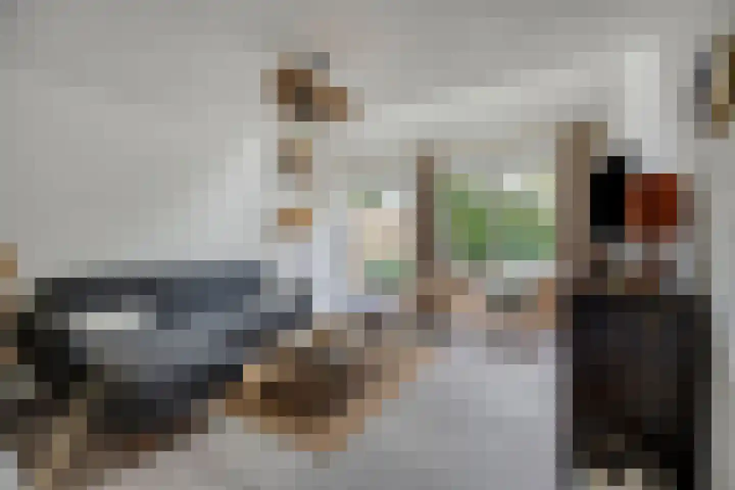 Strand 34 Zoutelande thumbnail 4
