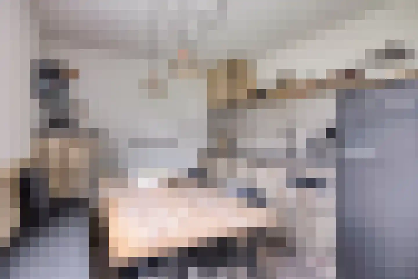 Strand 34 Zoutelande thumbnail 7