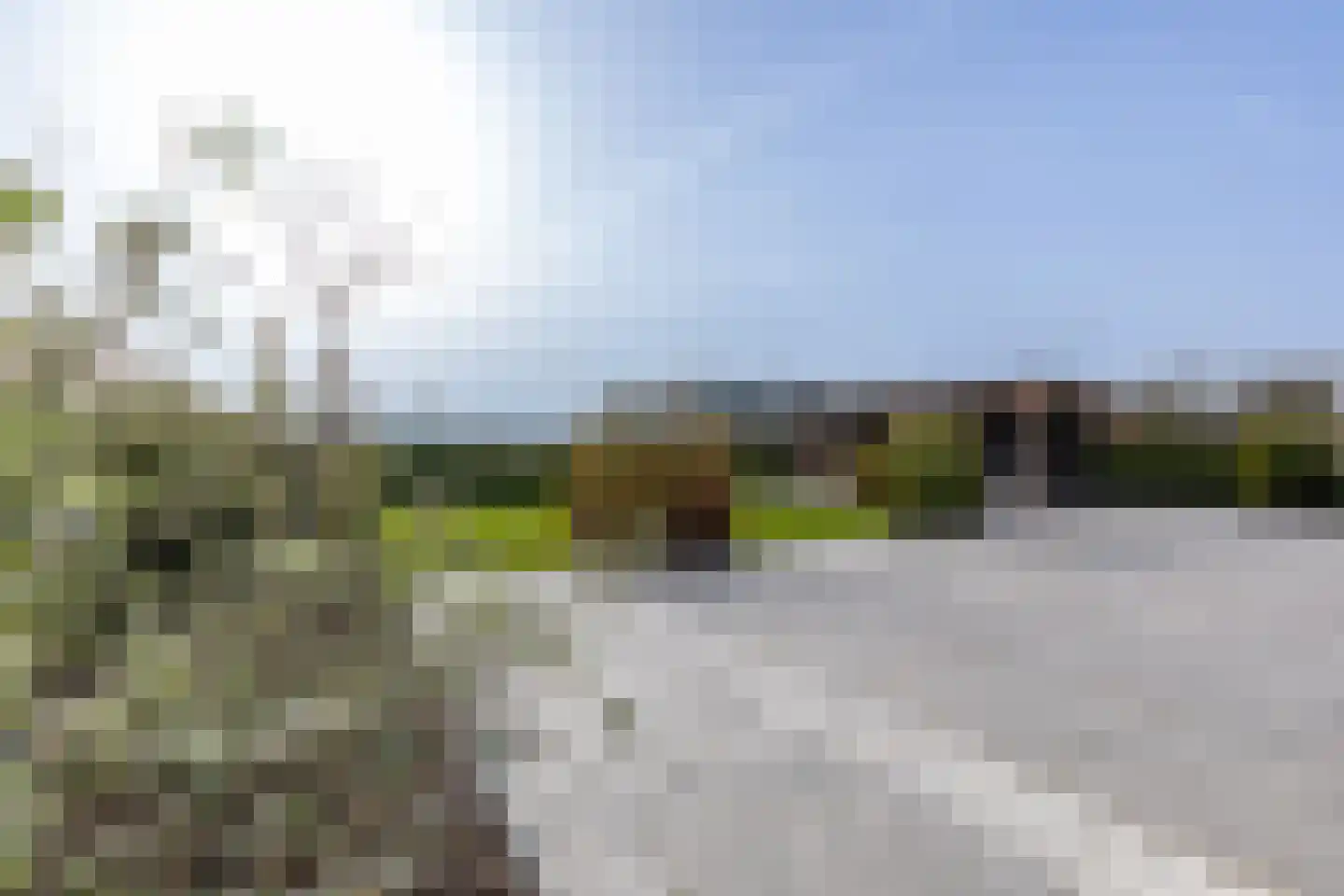 Strandloperlaan 5 Almere thumbnail 48