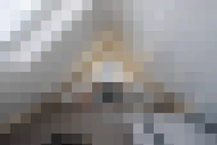 Stratenmakersveste 8 Arnhem thumbnail 31