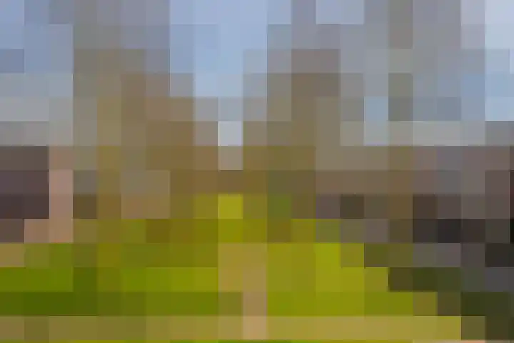 Stratenmakersveste 8 Arnhem thumbnail 5