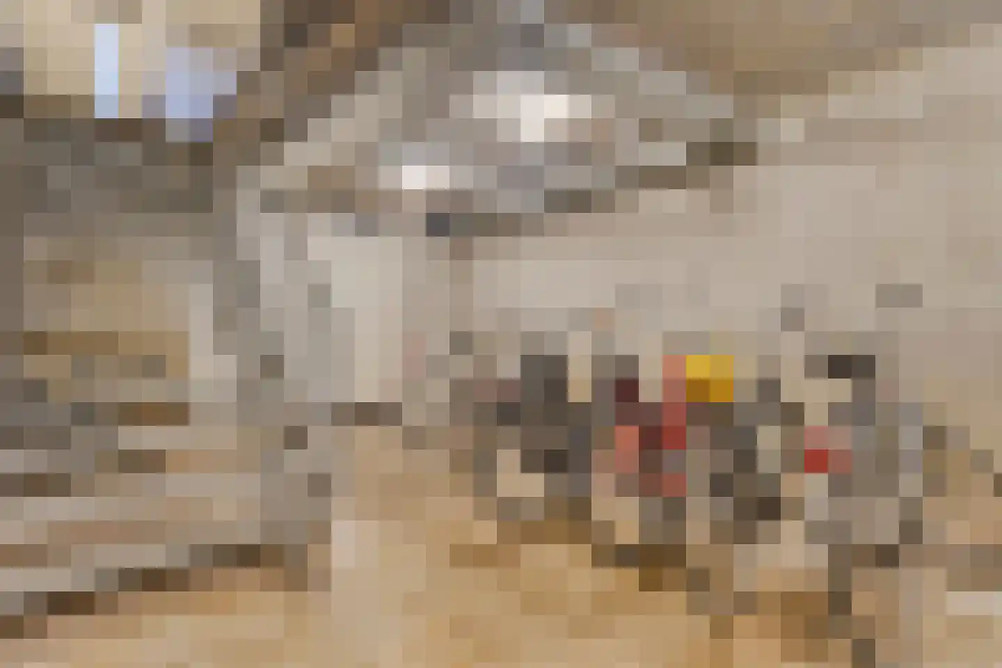 Stratumseind 111 Eindhoven thumbnail 18