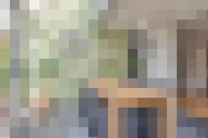 Strausslaan 21 Heesch thumbnail 19