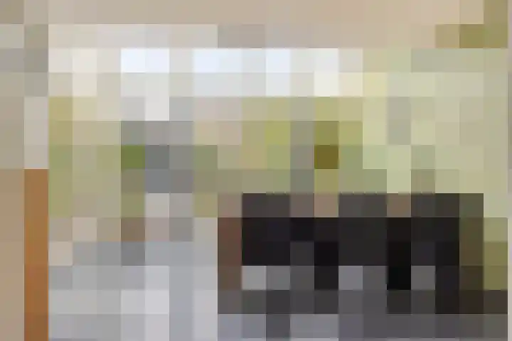 Strausslaan 21 Heesch thumbnail 21