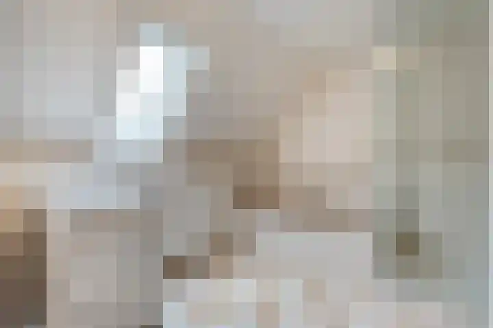 Strausslaan 21 Heesch thumbnail 24