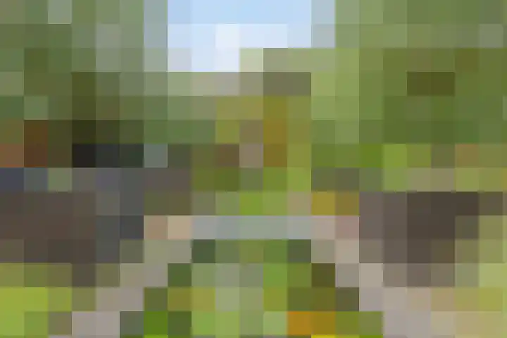 Strausslaan 21 Heesch thumbnail 25