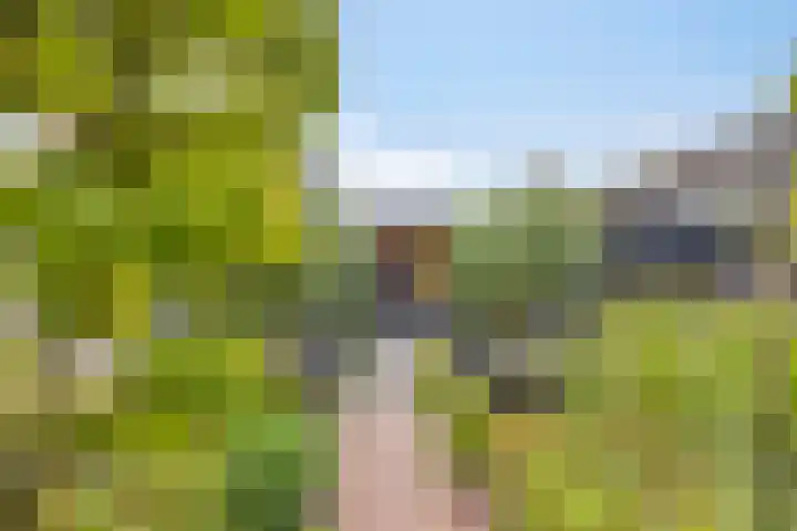 Strausslaan 21 Heesch thumbnail 26