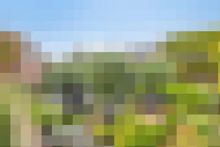 Strausslaan 21 Heesch thumbnail 27