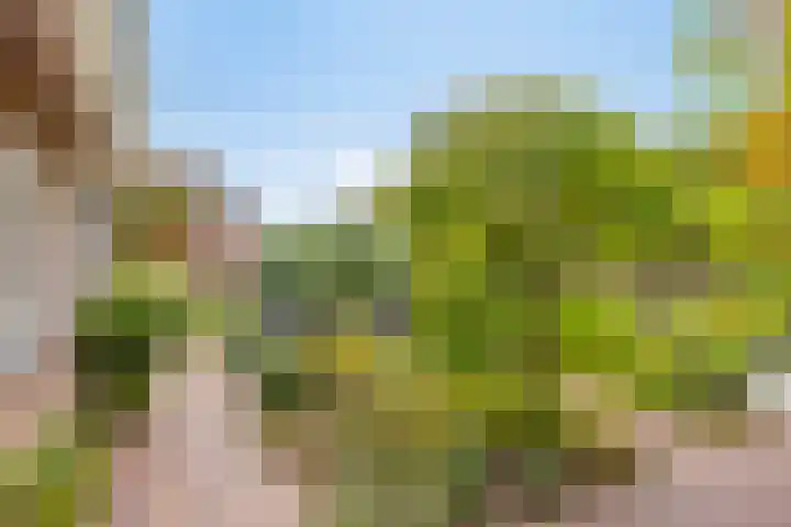 Strausslaan 21 Heesch thumbnail 28