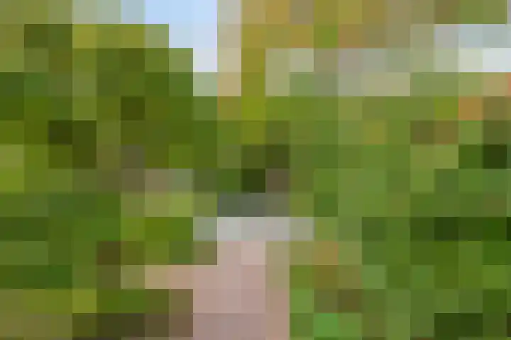 Strausslaan 21 Heesch thumbnail 29