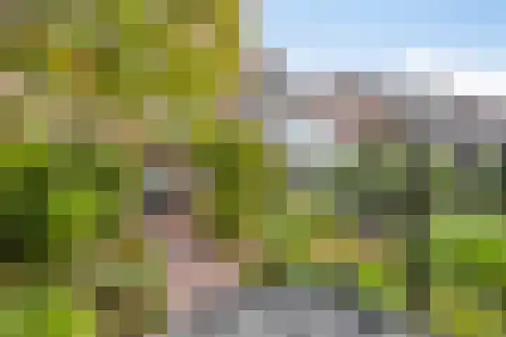 Strausslaan 21 Heesch thumbnail 30