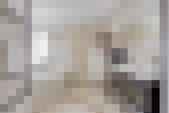Strausslaan 21 Heesch thumbnail 40