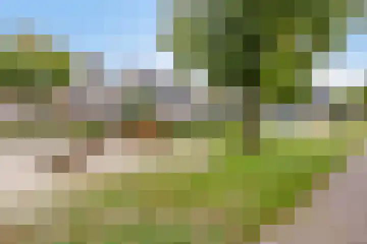 Strausslaan 21 Heesch thumbnail 54