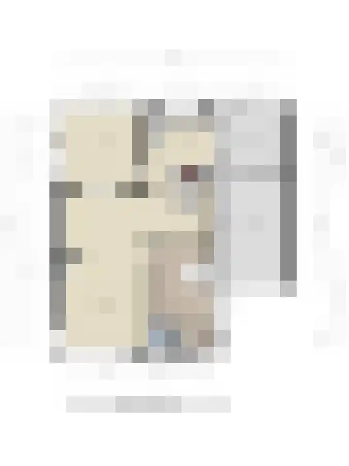 Strausslaan 21 Heesch thumbnail 57