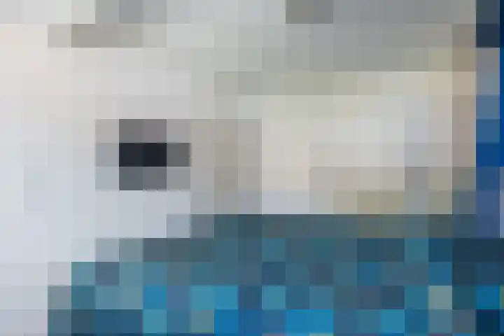 Strausslaan 28 Zeist thumbnail 21