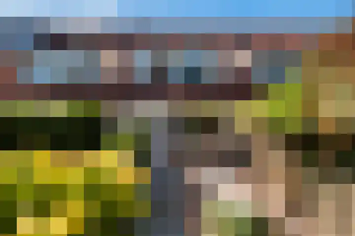 Strausslaan 28 Zeist thumbnail 31