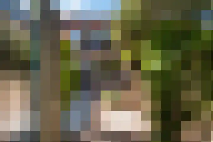 Strausslaan 28 Zeist thumbnail 32