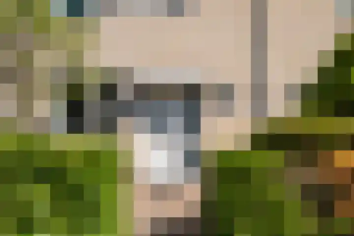 Strausslaan 28 Zeist thumbnail 36