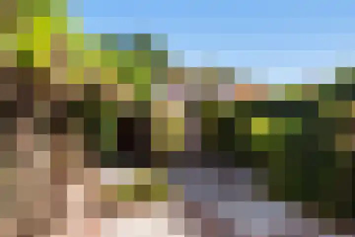 Strausslaan 28 Zeist thumbnail 5