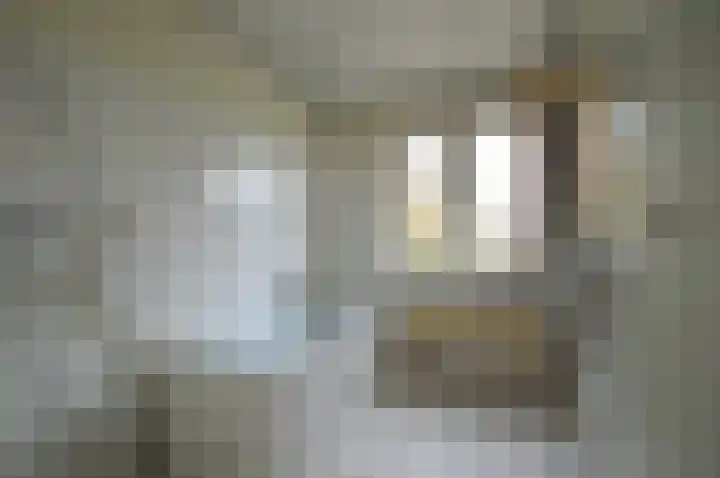 Strausslaan 50 Deurne thumbnail 17