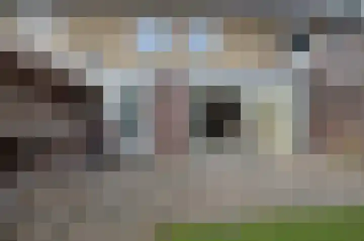 Strausslaan 50 Deurne thumbnail 24