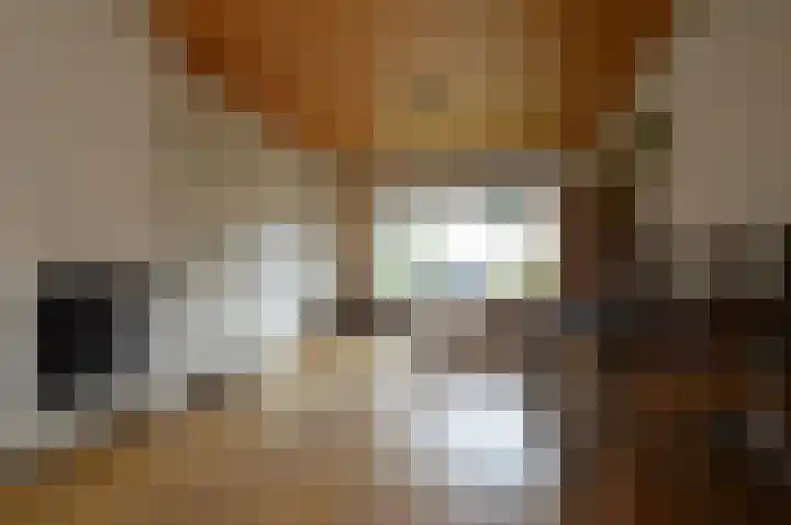 Strausslaan 50 Deurne thumbnail 4