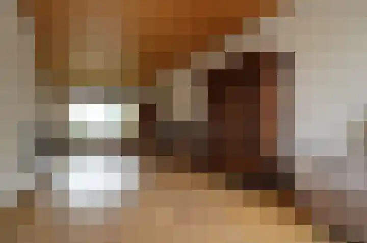 Strausslaan 50 Deurne thumbnail 5