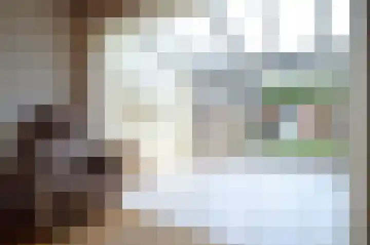 Strausslaan 50 Deurne thumbnail 6