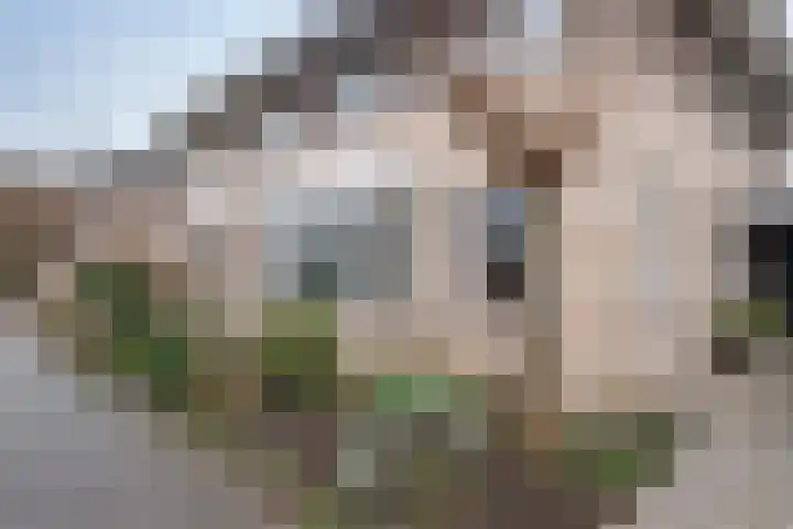 Strausslaan 8 Barendrecht thumbnail 31