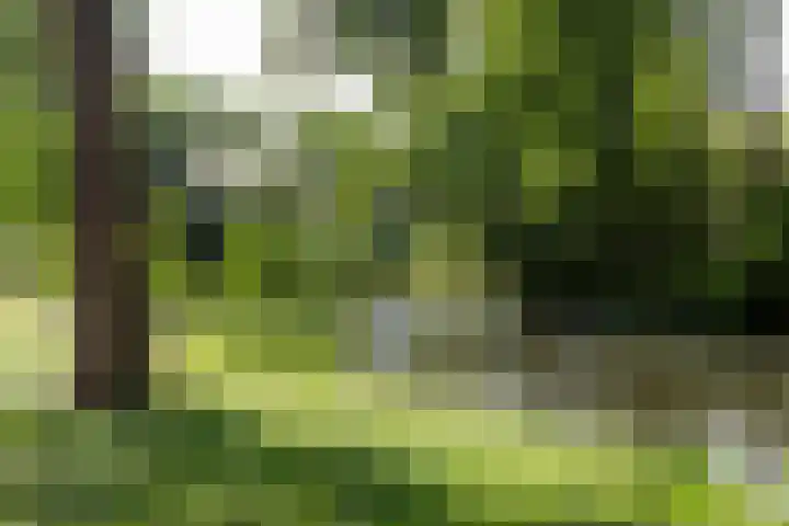 Strawinskylaan 30 Delft thumbnail 31