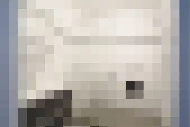Strawinskylaan 36 Delft thumbnail 14
