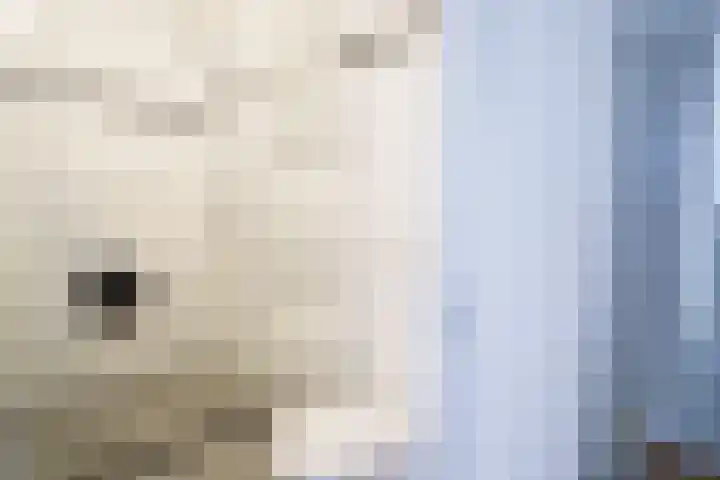 Strawinskylaan 36 Delft thumbnail 15