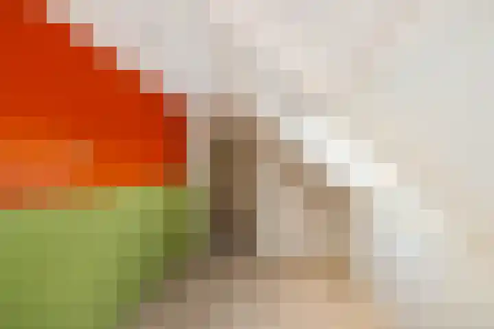 Streeksterpad 7 Wirdum thumbnail 28
