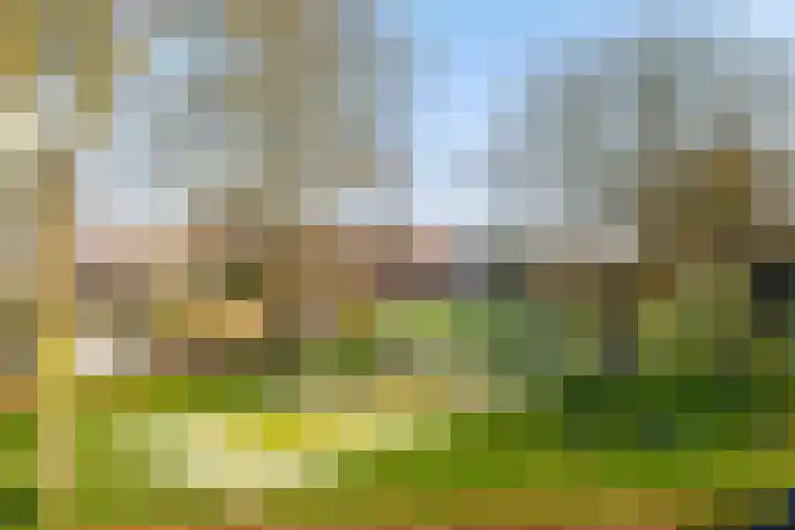 Streeksterpad 7 Wirdum thumbnail 36