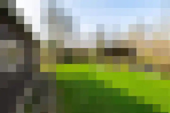 Streeksterpad 7 Wirdum thumbnail 40