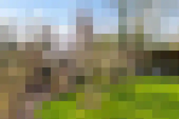 Streeksterpad 7 Wirdum thumbnail 41