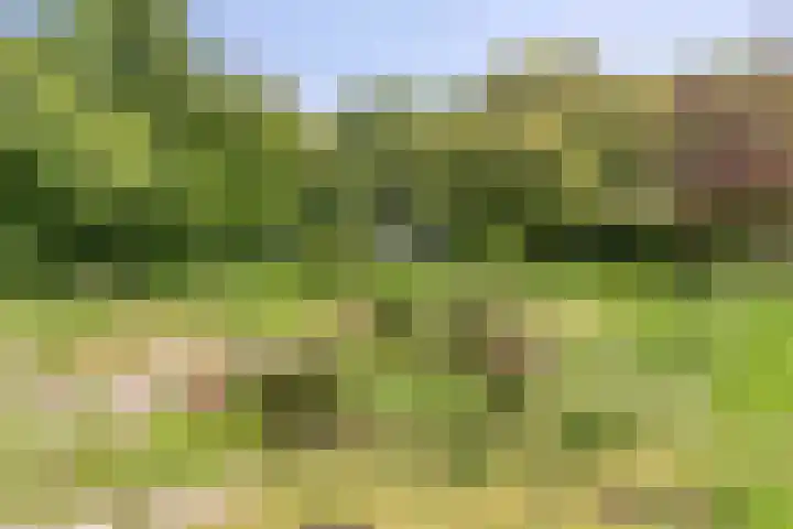 Streekweg 2 Onstwedde thumbnail 10