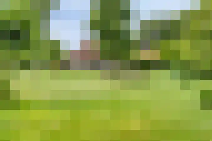 Streekweg 2 Onstwedde thumbnail 11