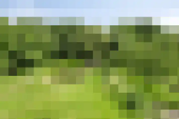 Streekweg 2 Onstwedde thumbnail 13