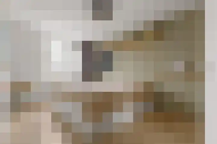 Streekweg 2 Onstwedde thumbnail 16