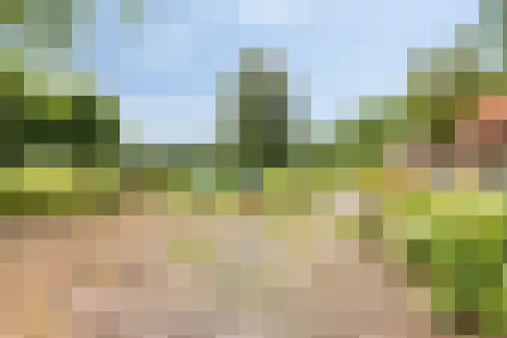 Streekweg 2 Onstwedde thumbnail 18