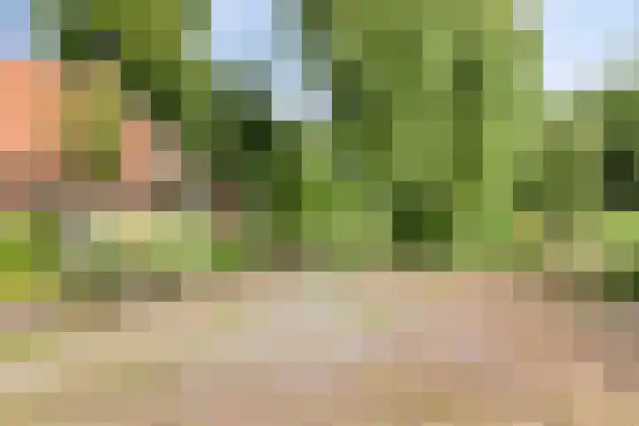 Streekweg 2 Onstwedde thumbnail 21