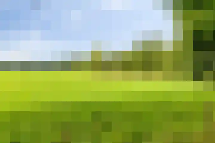Streekweg 2 Onstwedde thumbnail 4