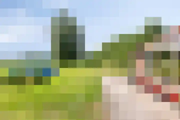 Streekweg 2 Onstwedde thumbnail 52