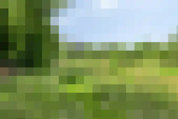Streekweg 2 Onstwedde thumbnail 59