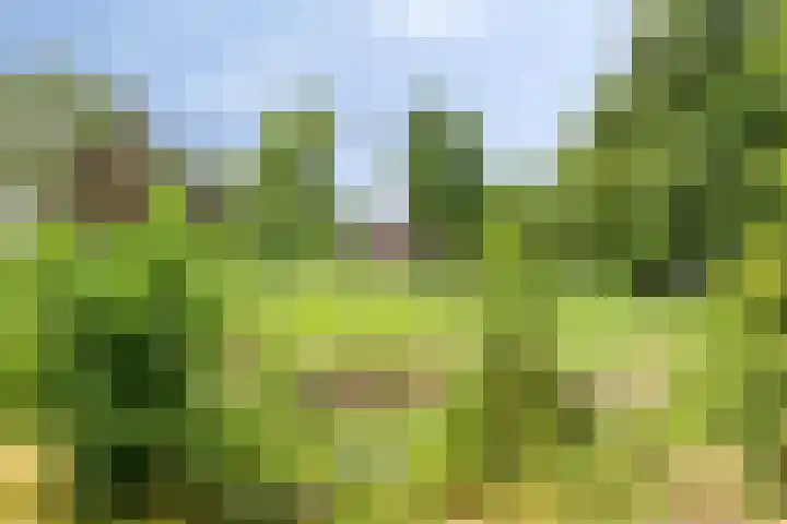 Streekweg 2 Onstwedde thumbnail 6